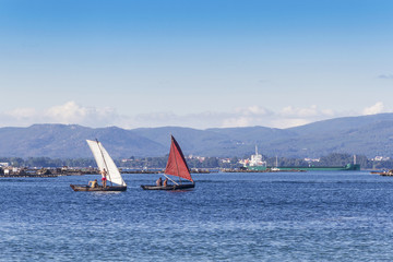 Dorna traditional boats sailing