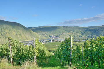 Blick auf die Weinorte Beilstein und Ellenz-Poltersdorf an der Mosel nahe Cochem,Deutschland