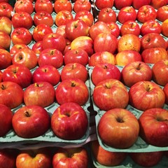 スーパーマーケットに並ぶりんご達