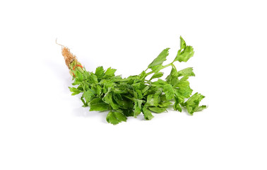 Fresh parsley on white background