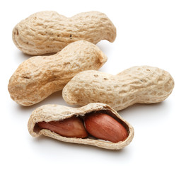 peanut pod or arachis isolated on white background cutout