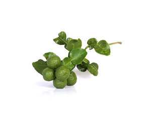Bergamot fruit on a white background