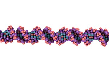 DNA built from atoms, isolated on white background, double helix of DNA, DNA chains, molecule of DNA, scientific background