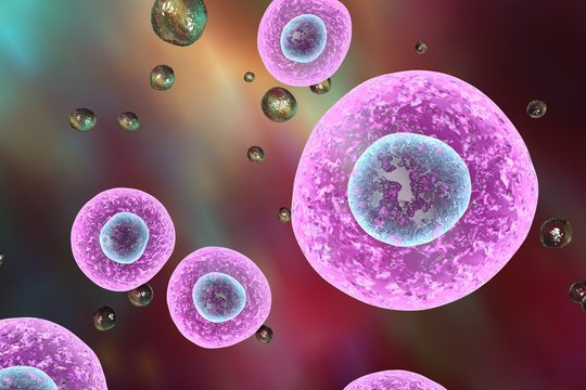 63 290 Best Animal Cell Images Stock Photos Vectors Adobe Stock