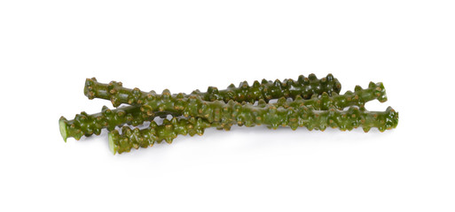 Tinospora cordifolia herb on white background