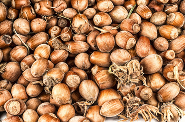 hazelnuts brown