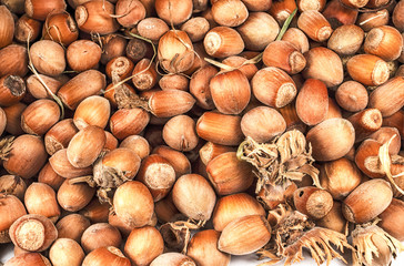 hazelnuts