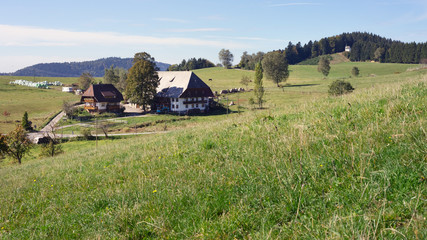 Schwarzwald