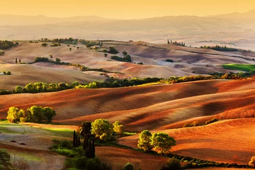 Foto op Canvas Tuscany countryside landscape at sunrise, Italy © Photocreo Bednarek