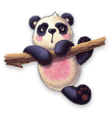 Obraz premium furry panda
