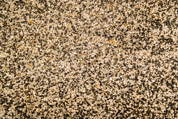Sand background texture