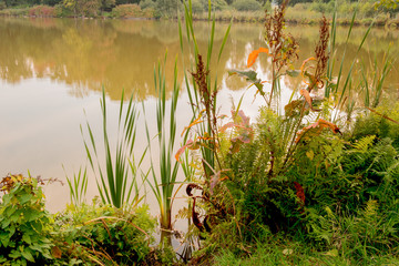 Wunderschöne Herbstlandschaft
