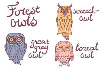 Forest owls collection