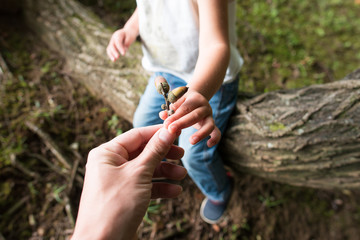 どんぐりを渡す親子 © hakase420