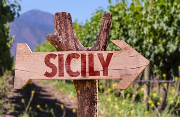 Foto op Plexiglas Sicily wooden sign with winery background © gustavofrazao