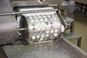 mozzarella, food, basil