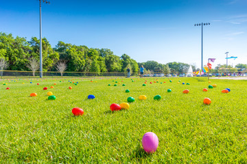 Fototapeta premium Easter eggs in the field