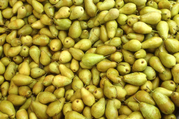 heel veel peren