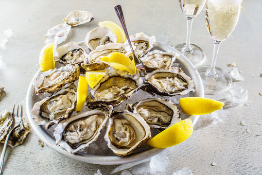 Opened Oysters