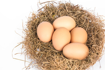 eggs in a nest isolated on a white background