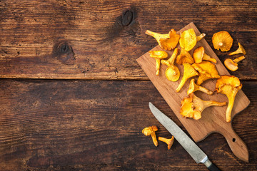 Cantharellus cibarius, chanterelle mushrooms