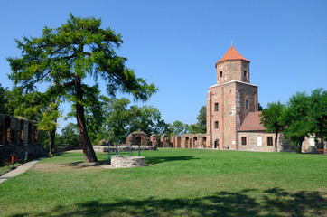 Fototapeta na wymiar Castle Toszek in Poland