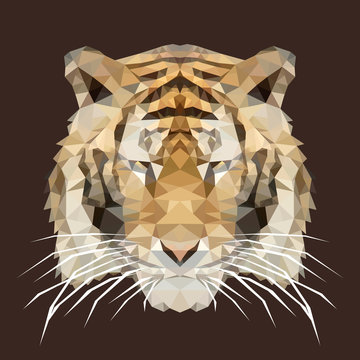 polygonal tiger, polygon geometric animal, vector illustration