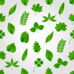 Obraz premium natural green beautiful leaves icon seamless pattern eps10