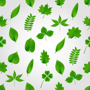 natural green beautiful leaves icon seamless pattern eps10