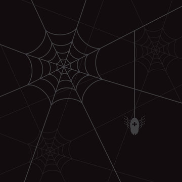 spider web and litle spider black eps10
