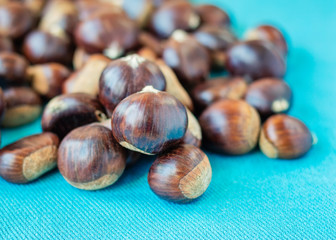 Pile of fresh chestnuts on a light blue background.