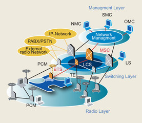 Network management scheme. Vector