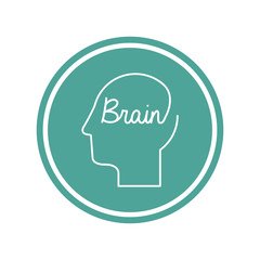 Brain design