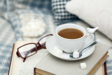 Cup of coffee with books on sofa in living room