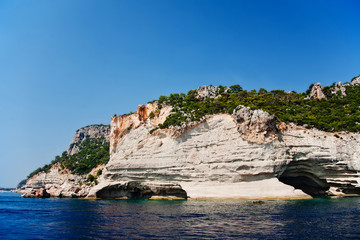 Fototapeta na wymiar Coastline with rocks and forest