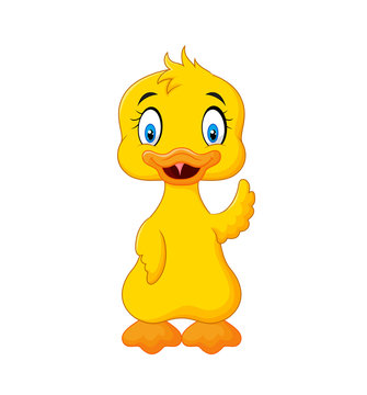 Cute baby duck hand waving isolated on white background