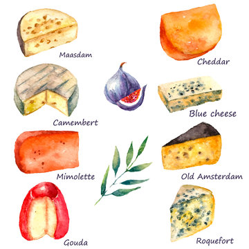 Watercolor cheese set.