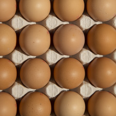 Brown eggs