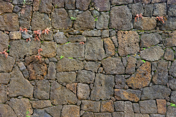 Mur de pierres volcaniques
