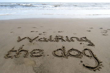 Walking the Dog written in sand, with the sea in the background
