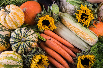 fresh from local market autumn vegetables © marcin jucha