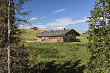 Fototapeta premium Herbst im Almgebiet von Lofer