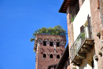 Torre Guinigi