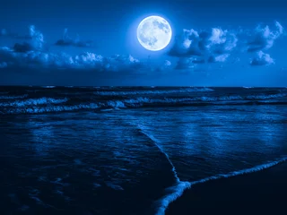 Papier Peint photo Lavable Eau Beach at midnight with a full moon