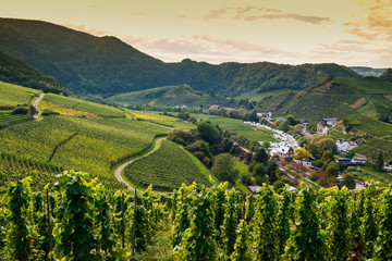 View over the Village of Mayschoss in Ahr Valley,Germany