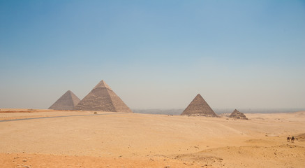 Pyramids of Giza, Cairo, Egypt and camels in the foreground
