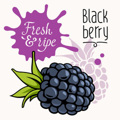 Blackberry concept 001