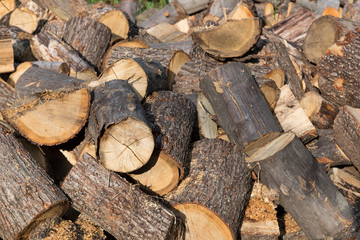 Firewood pile
