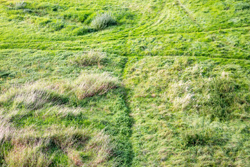 Wiesenlandschaft mit schmalen Pfaden