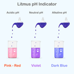 Mesuring of pH with litmus indicator